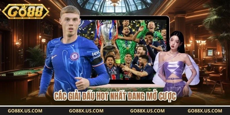Các giải đấu hot nhất đang mở cược