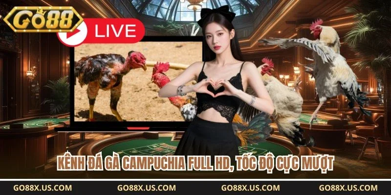 Kênh đá gà Campuchia full HD, tốc độ cực mượt
